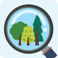 My Tree ID